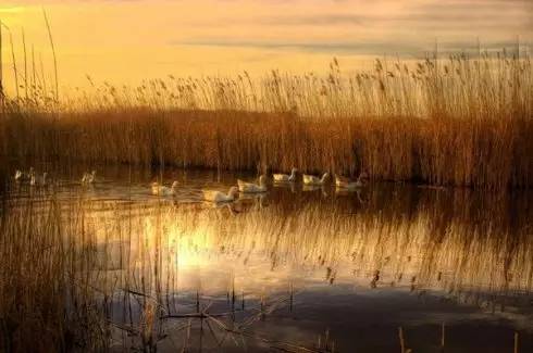 j9九游我的365天创业日记—创业永远不可能像你想象得那么好但不会像你想象得那么糟既然选择了无论好的还是糟的请坚持下去!(图3)