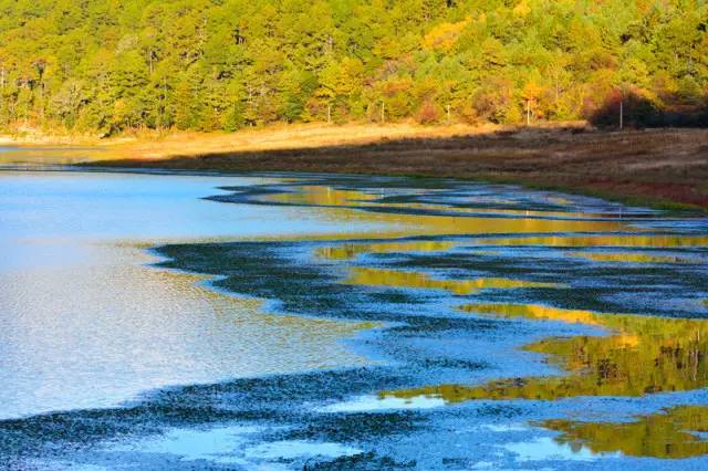 j9九游我的365天创业日记—创业永远不可能像你想象得那么好但不会像你想象得那么糟既然选择了无论好的还是糟的请坚持下去!(图5)