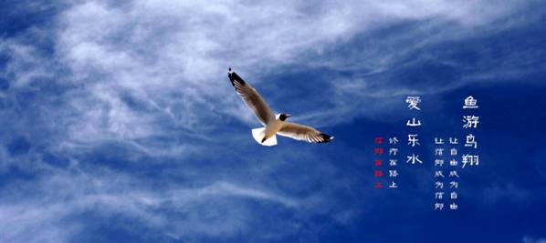 j9九游我的365天创业日记—创业永远不可能像你想象得那么好但不会像你想象得那么糟既然选择了无论好的还是糟的请坚持下去!(图16)