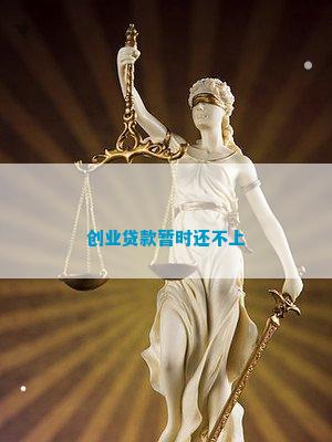 创业贷款暂时还不上