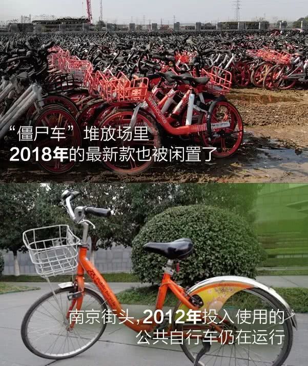 共享单车生死局变 谁能先手做活(图1)